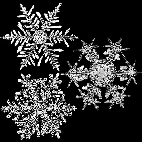 snowflakeswb2.jpg