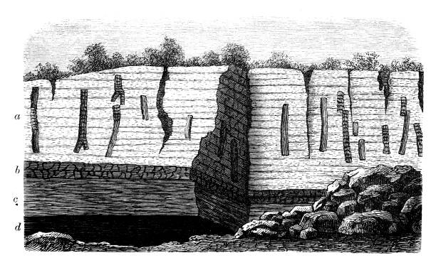 Antique illustration, geology: Soil layers with tree trunks